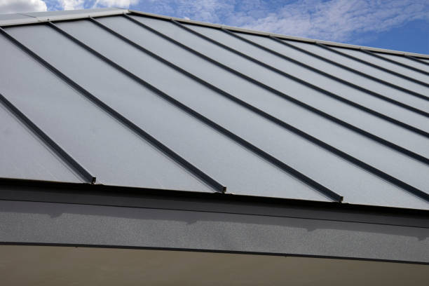 Best Sheet Metal Roofing  in Norwood, NJ